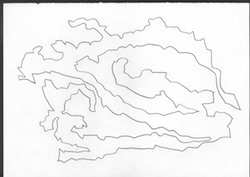2005 Neurale Inzucht - Chr Mueller 1981